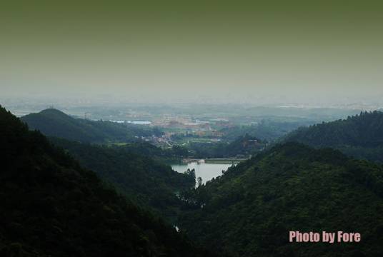 茶山（佛山茶山）