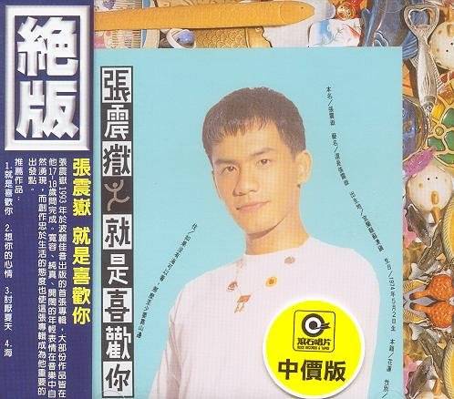 就是喜欢你（张震岳演唱歌曲）