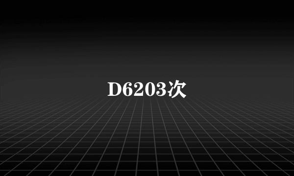 D6203次