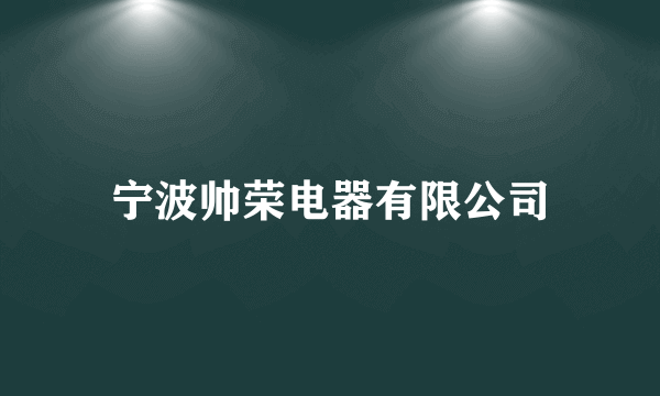 宁波帅荣电器有限公司