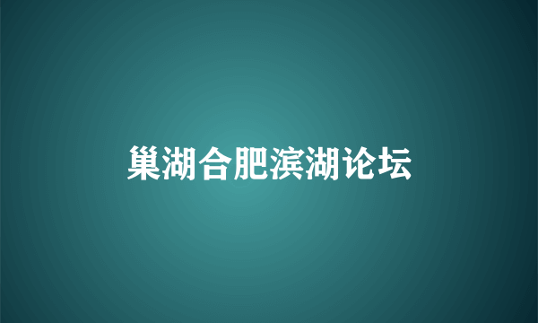 巢湖合肥滨湖论坛