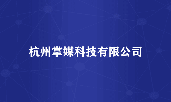 杭州掌媒科技有限公司