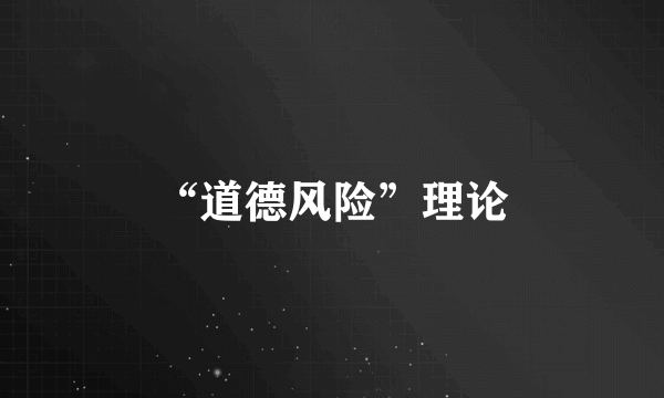 “道德风险”理论