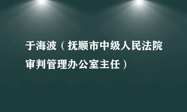 于海波（抚顺市中级人民法院审判管理办公室主任）