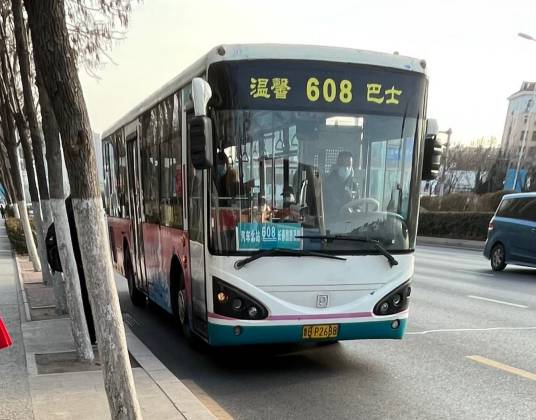 青岛公交608路
