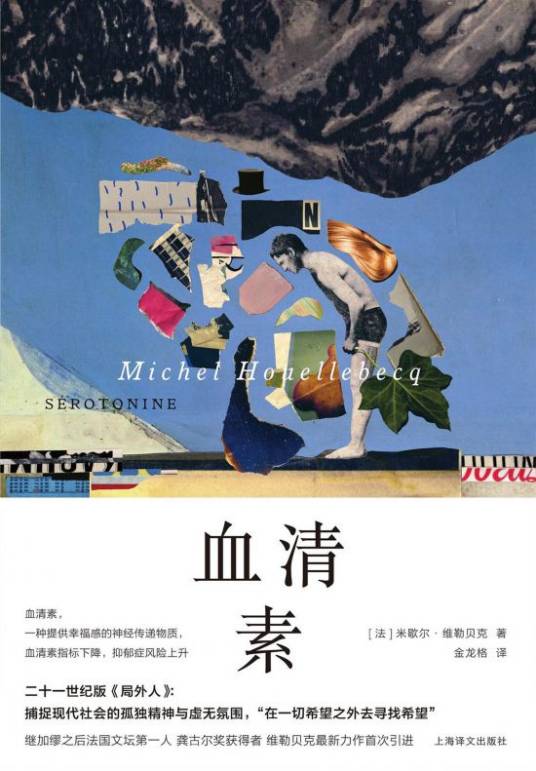 血清素（米歇尔·维勒贝克著长篇小说）