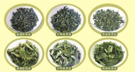 传统铁观音