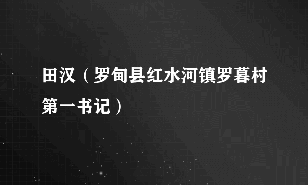 田汉（罗甸县红水河镇罗暮村第一书记）