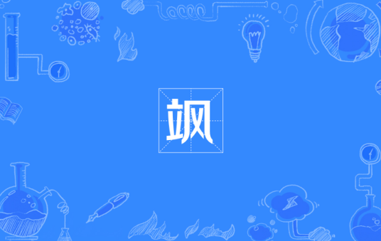 飒（网络流行语）