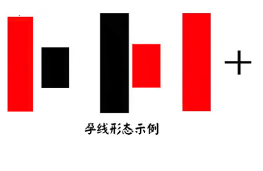 孕线形态