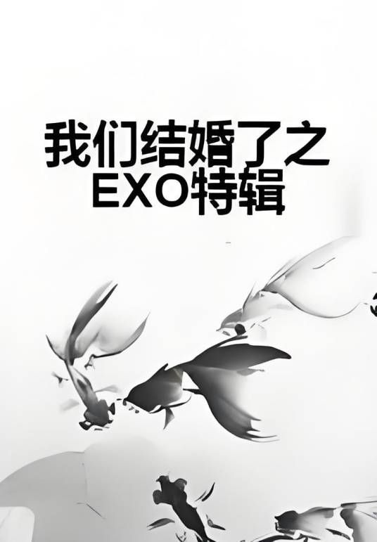 我们结婚了之EXO特辑