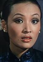 夏雯（中国台湾女演员）