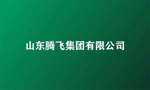 山东腾飞集团有限公司
