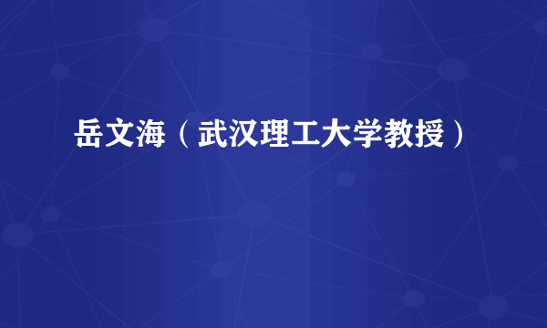 岳文海（武汉理工大学教授）