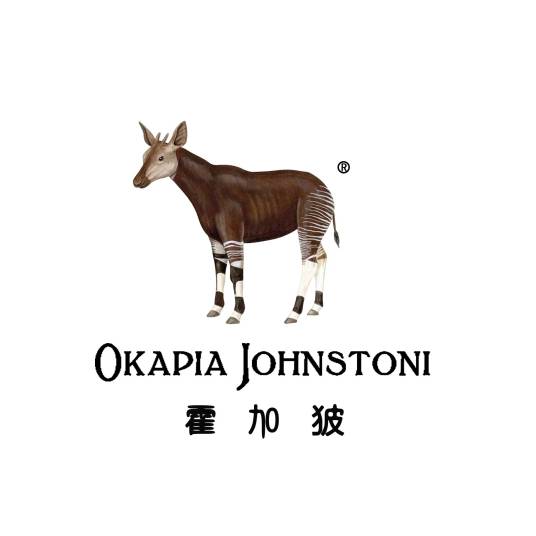 霍加狓 OKAPIA JOHNSTONI