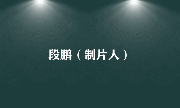 段鹏（制片人）