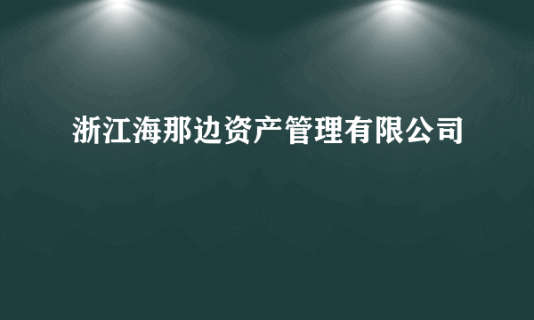 浙江海那边资产管理有限公司