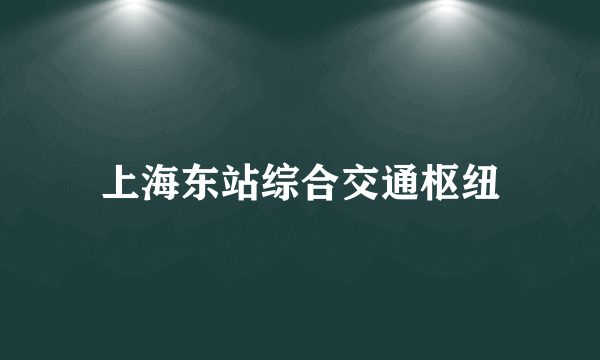 上海东站综合交通枢纽