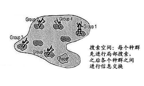 蛙跳算法