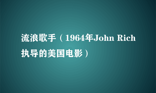 流浪歌手（1964年John Rich执导的美国电影）