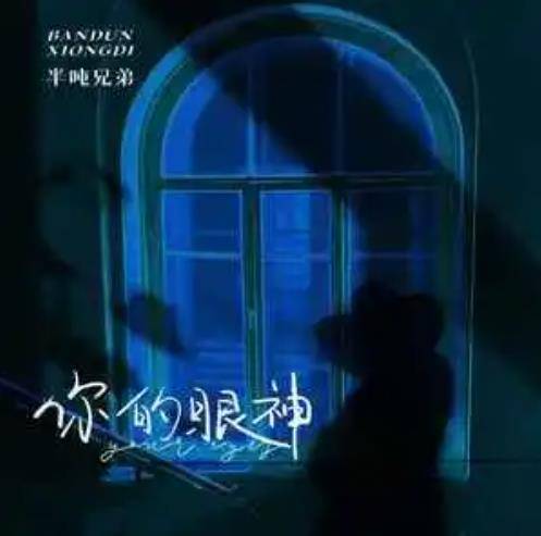 你的眼神（半吨兄弟演唱的歌曲）