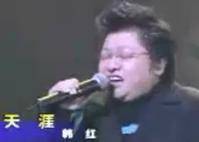 天涯（韩红演唱歌曲）