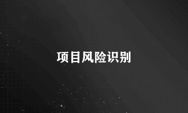 项目风险识别