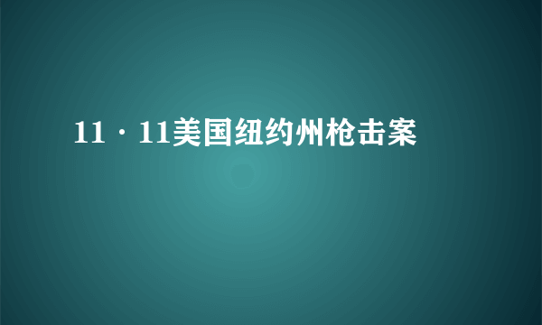 11·11美国纽约州枪击案