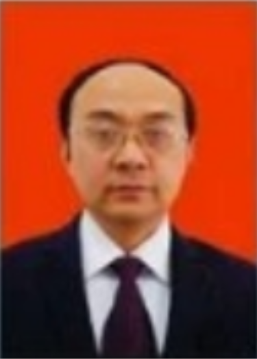 鲁俊（湖北省优秀中学数学教师）