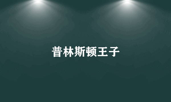 普林斯顿王子