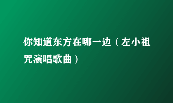你知道东方在哪一边（左小祖咒演唱歌曲）