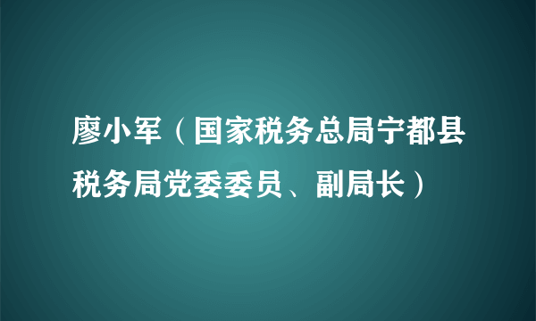 廖小军（国家税务总局宁都县税务局党委委员、副局长）