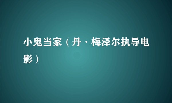 小鬼当家（丹·梅泽尔执导电影）