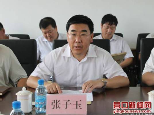 张子玉（中共营口市委常委）