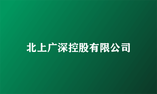 北上广深控股有限公司