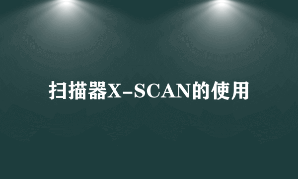扫描器X-SCAN的使用