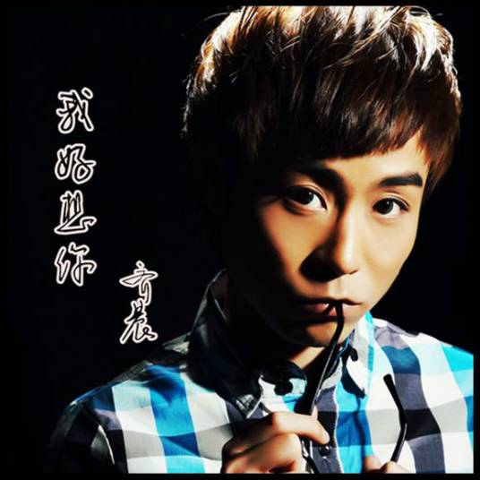 我好想你（齐晨演唱的歌曲）