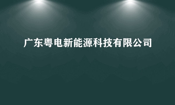 广东粤电新能源科技有限公司