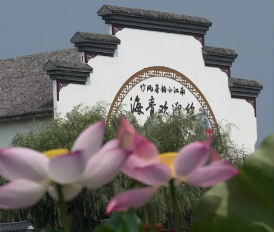 海青镇（山东省青岛市黄岛区辖镇）