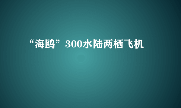 “海鸥”300水陆两栖飞机
