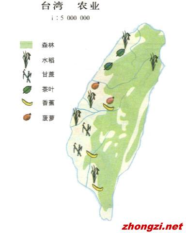 台湾农业
