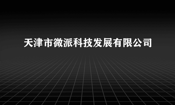 天津市微派科技发展有限公司