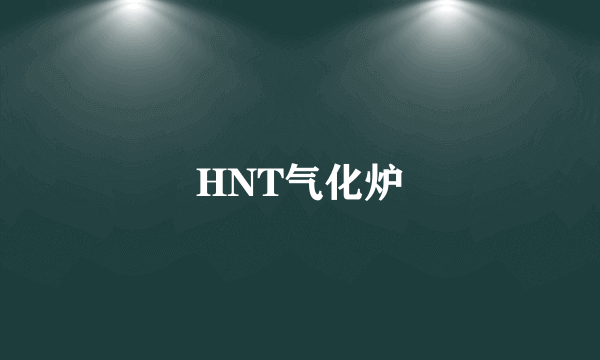 HNT气化炉