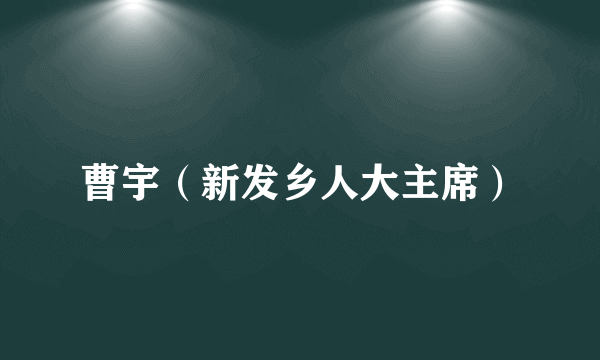 曹宇（新发乡人大主席）