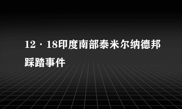12·18印度南部泰米尔纳德邦踩踏事件