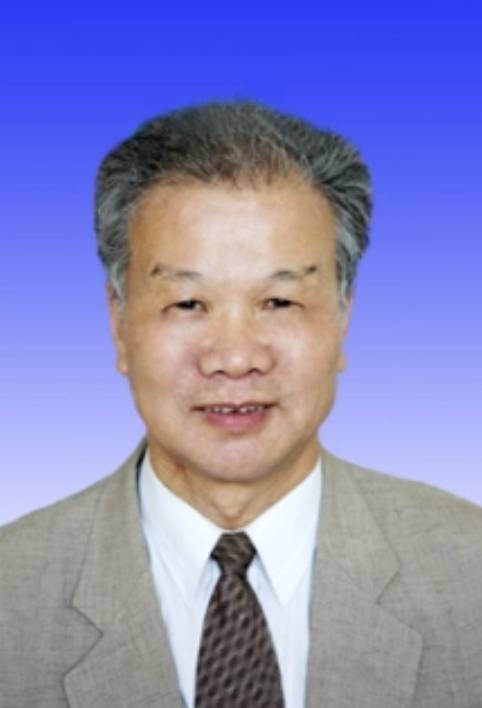 陆瑾（中国抗癌协会小儿肿瘤专业委员会委员）