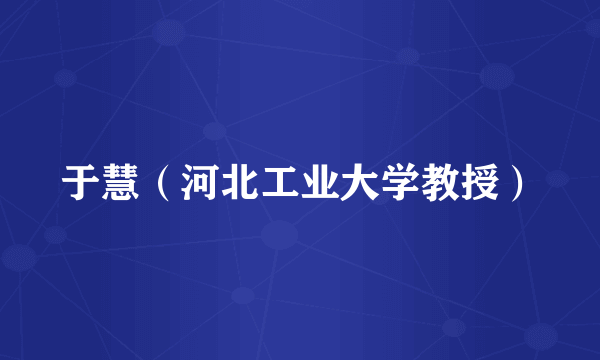 于慧（河北工业大学教授）
