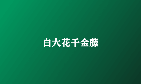 白大花千金藤