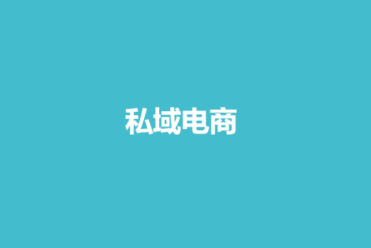 私域电商（汉语词汇）