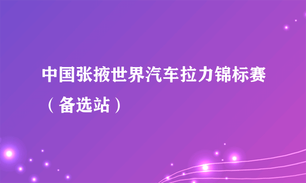 中国张掖世界汽车拉力锦标赛（备选站）